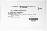 Image Associated With the Occurence